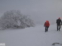 2018-01-13 M. Orsello 197